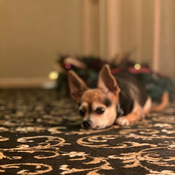 Meet your Posher, Patty - Picture 12 of 17